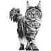 Rcwroyal Canin Pill Assist Feline 45g - Buy Online on GoSupps.com