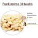 Buy Organic Salvia Frankincense Essential Oil 30ml - Undiluted & Pure | International Shipping Available - Buy Online on GoSupps.com
