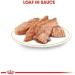 Buy Royal Canin Mini Yorkshire Dog Food - 1 x 1.02 kg Pack | International Shipping Available - Buy Online on GoSupps.com