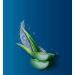 Unilever Vaseline Intensive Care Aloe Soothe Lotion - 10 Fl Oz | Hydrating Moisturizer for Dry Skin | International Shipping Available - Buy Online on GoSupps.com