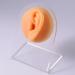 Silicone Ear Model Soft Flexible Fake Ear Piercing Practice Model Silicone Body Parts Realistic Ear Mold for Jewelry Display Teaching Tool Style3 - Buy Online on GoSupps.com