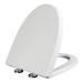 Elongated Toilet Seat Slow Close Toilet Seat Quick Release Adjustable Hinge Easy Clean Easy Install Fits Most Standard Elongated Toilets (Width 38.5 Length 42-48) White D Little Surprise