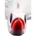 LAST CAST TACKLE 3.0-6.0oz Bucktail Fishing Lure Jigs - 2 Pack 3.0 Ounce - Buy Online on GoSupps.com