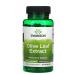 Swanson Olive Leaf Extract 750mg Super Strength - 60 caps Natural Immune Support & Antioxidants