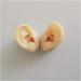 Silicone Ear Model - Simulation Human Body Part Silicone Model Artificial Ear Model - 1:1 Human Ear Model Simulation Display Props Teaching Tool Jewelry Display Earrings
