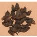 THE Nagarmotha Motha Nagarmoth Cyperus Rotundus-200 GMS - Buy Online on GoSupps.com