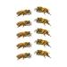 SanerLian Bee Ladybug Temporary Tattoo Stickers - Set of 12 | Waterproof Cartoon Fake Tattoos for Kids | Ideal for Hand, Arm, Party Favors - Buy Online on GoSupps.com