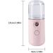 Face Mister Spray Bottle Face Mister 30ml Mini Water Mister for Face Mister Spray Bottle USB Rechargeable Handy Mist Sprayer for Moisturizing Hydrating Skin Care Makeup light red - Buy Online on GoSupps.com