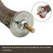 10-Piece Natural Bird Accessories for Budgies Canaries & Lovebirds - Gionar Climbing Grinding & Standing Cage Toys - Buy Online on GoSupps.com