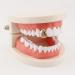 Shop Eralp Hip Hop Teeth - Quality Copper Braces & Halloween Accessories for Adults & Teens - Buy Online on GoSupps.com