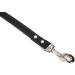 Buy Karlie Rondo Riveted Dog Leash - 100 cm | Durable Black 20 mm Width | International Shipping Available - Buy Online on GoSupps.com