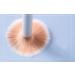 WOIWO 5 PCS Highlight Face Repair Blush Brush Set | Brightening Makeup Tools for Flawless Beauty - Buy Online on GoSupps.com