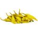 Buy Alnatura Mildly Spicy Green Peppers - 350g Pickled Brine | International Shipping Available - Buy Online on GoSupps.com