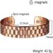 Biancat Prostapower Magnetic Copper Band Magnetic Copper Prostate Band Magnetic Copperprostate Band for Men&Women (Style-F) - Buy Online on GoSupps.com