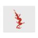 2 x 'Dragon' Microfiber Lens/Eyeglass Cleaning Cloths (LC00021765)