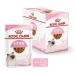 Royal Canin Kitten Complete Wet Food in Gravy 48 x 85g - Buy Online on GoSupps.com