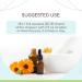 Teasel B60 Alcohol-Free Herbal Extract Tincture - Natural Concentrated Liquid Drops (2 fl oz) | International Shipping Available - Buy Online on GoSupps.com