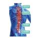 Posture Corrector for Men & Women - Adjustable Upper Back Brace for Pain Relief & Spinal Alignment | Premium Neck & Back Straightener Options - Buy Online on GoSupps.com