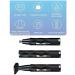 Ear and Nose Hair Trimmer - Portable USB Rechargeable Waterproof & Easy to Clean - Perfect Grooming Tool for Travel - Buy Online on GoSupps.com