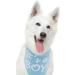 Its a Boy or Its a Girl Dog Bandana - Gender Reveal Pet Scarf for Pregnancy Announcement - Blue and Pink - Buy Online on GoSupps.com