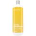 Deep Conditioner for Hair Growth - Nourishing Hair Conditioner for Hair Loss  Eczema and Psoriasis Relief - Hair Moisturizer and Conditioner for Dry Hair - Scalp Moisturizer with Aloe Vera (16oz) 16 Fl Oz (Pack of 1)