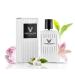 David Walker CUIZES Fragrances | Exclusive Collection | Long lasting perfumes for Women | White Lily Violet Leaves Green Blend | 50ml/1.70z (Pack of 1)
