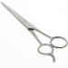 Buy Premium 19 cm Stainless Steel Hair Scissors with Hook - Precision Cutting Tools for a Gentle Finish - Buy Online on GoSupps.com
