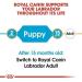 Royal Canin BHN Labrador Retrev Jr 3000 g - Buy Online on GoSupps.com