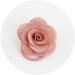 Baby Girls Hair Ties Rope 13PCS Small Seamless Hair Bands Ponytail Holder No Damage Flower Hairbands for Kids Toddlers 13pcs Camellia - Buy Online on GoSupps.com