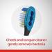 Colgate 360 Total Advanced Floss-Tip Soft Toothbrush - Full Head Design - Buy Online on GoSupps.com
