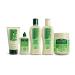 Bio Extratus Jaborandi Shampoo 250ml - Anti-Fall Revitalizing Cleanser | International Shipping - Buy Online on GoSupps.com