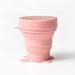 Collapsible Silicone Cup - Travel & Menstrual Use - Pink Foldable Diva Cup Storage - Buy Online on GoSupps.com
