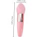 Gogogmee 2 Sets Beauty Pen Beauty Makeup Tool Facial Powder Sponge Beauty Brush Beauty Sponge Makeup Sponge with Handle Make-up Pen Makeup Puff Pen Portable Makeup Sponge Makeup Gadget - Buy Online on GoSupps.com