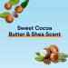Suave Deodorant Women Antiperspirant Cocoa Shea Butter 48-Hour Odor & Wetness Protection with Essential Oils anti-staining no baking soda 2.6 oz (Pack of 12) - Buy Online on GoSupps.com