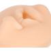 Silicone Suture Practice Model for Medical Students - Ideal for Suture Training and Cleft Lip Simulation - Buy Online on GoSupps.com