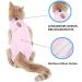 Voarge Recovery Suit for Cats - Post-Op Anti-Licking & Warmth Size M Pink - Ideal for Healing After Surgery - Buy Online on GoSupps.com