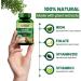 Plant Based Iron Supplement with Folate | Boost Energy (90 Capsules) - Buy Online on GoSupps.com