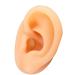Human Ear Model Simulation Artificial Human Left Ear Silicone Ear Model for Ear Picking Ear Piercing Teaching Acupuncture (Left Ear)