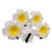 12Pcs White Hawaiian Plumeria Flower Hair Clip Foam Flower Hawaii Hair Clips Hair Pins Artificial Plumeria Hair Clips Hair Accessory Decorations for Beach Bridal Wedding Party Vacation(2.4 Inch)