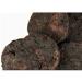 Herbal Cure - Dried Rehmannia_Root (non refined) - Sheng Di Huang - 454g - Product of China - Buy Online on GoSupps.com