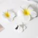 hgnxa Realistic Plumeria Flower Hairpin Elegant Wedding Hairclip Sweet Duckbill Clip Side Pin Nonslip Barrettes for Hair Shape - Buy Online on GoSupps.com