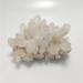 Natural Quartz Crystal Stones White Crystal Quartz Crystal Cluster Ornaments White Quartz Cluster Crystal Specimen Home Office Decor (Color : About 500g) - Buy Online on GoSupps.com