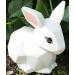 Dimensional Bunny Rabbit Ceramic Paint Kit by New Hampshire Craftworks - Buy Online on GoSupps.com