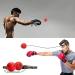 TOCO FREIDO Double End Punching Ball Speed Bag | Boxing Reflex Ball Set with Difficulty Levels | Improve Reaction Time, Agility, Hand-Eye Coordination | Includes Headband | 2 Reflex Balls - Buy Online on GoSupps.com