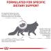 ROYAL CANIN Renal Feline - Cat (RF 23) 400g - Buy Online on GoSupps.com