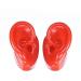 Simulation Silicone Ear Model - Soft Silicone Ear Model for Teaching - Artificial Ear Model for Ear Practice Studs Earring Display Props