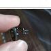 Casota Replacement Glasses Cushion Holder - Metal Nose Bridge Padding Gold - Glasses Repair Set - Buy Online on GoSupps.com