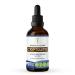 Cryptolepis Tincture Alcohol-Free Extract  High-Potency Herbal Drops  Tincture Made from Wildcrafted Cryptolepis Sanguinolenta Stable Working of The Gastrointestinal System 4 oz 4 Fl Oz (Pack of 1)