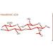 High Molecular Weight Hyaluronic Acid Powder - 10g (Pack of 1) - Buy Online on GoSupps.com