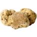 Premium White Truffle Cream & Cheese | Tuber Magnatum Pico - Elevate Meat Pasta Risotto Sushi - 5 x 180g - Buy Online on GoSupps.com